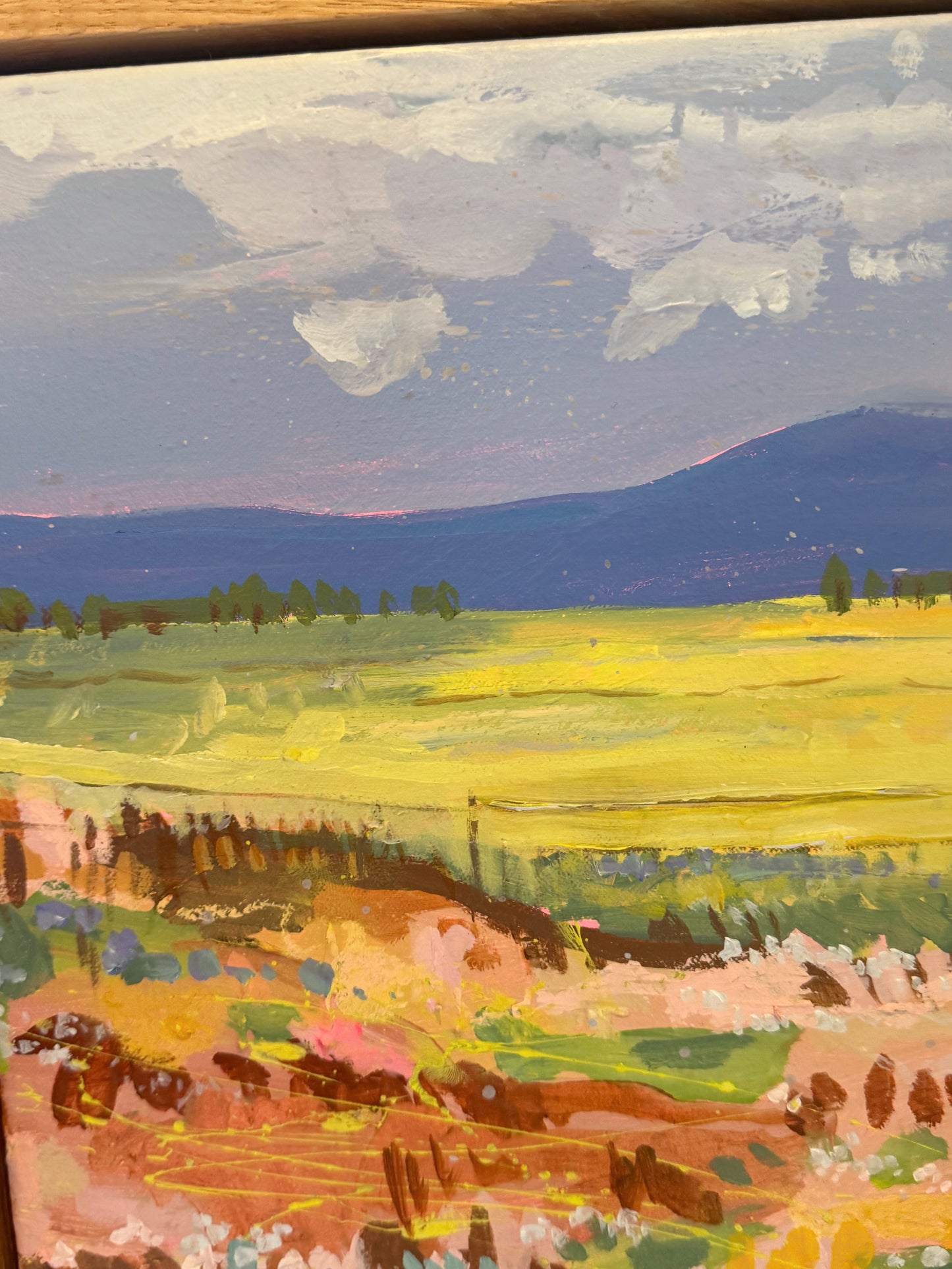 The Liverpool Plains no.2